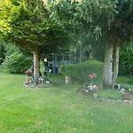 Schau Ins Land 2 Elbingerode (Saxony-Anhalt)