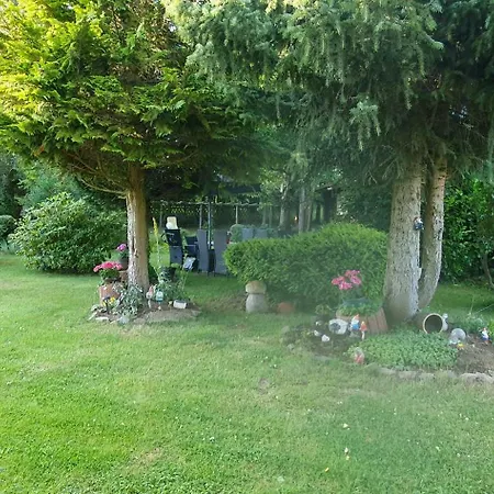 Schau Ins Land 2 Elbingerode (Saxony-Anhalt)